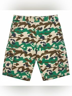 Pink Dolphin Camo Cargo Shorts Streetwear Rare Size 34 New with Tags MSRP $80